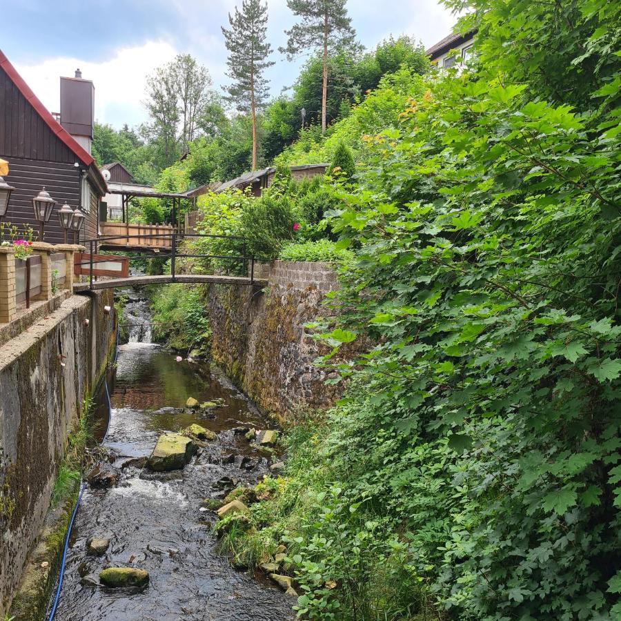 Harz Im Herzen 알테나우 외부 사진
