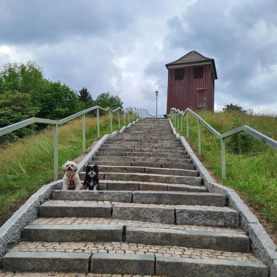 Harz Im Herzen 알테나우 외부 사진
